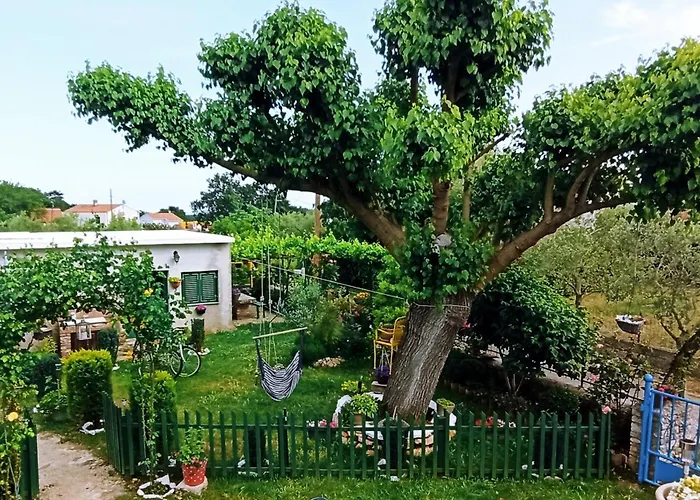 Apartment Nika